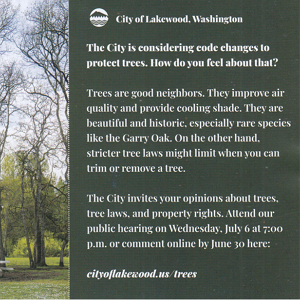 Lakewood trees postcard